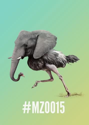 MusicalZOO 2015